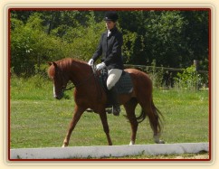 Janek kráčí k rozhodčím na své první drezuře