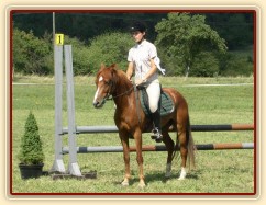 Dekorování, mašle za 2. místo :-)