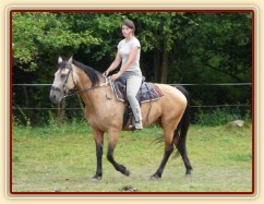 Jízdárna, klidný krok