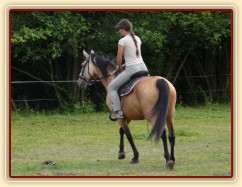 Jízdárna, ohnutí na kruhu v kroku