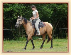 Jízdárna, couvání