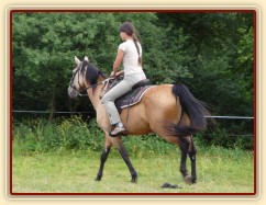 Jízdárna, krok, trochu se vztekám:-)