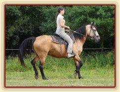 Jízdárna, zpomalení v klusu