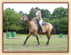 Jízdárna, kruh v klusu