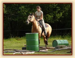 Jízdárna, klus přes kavalety