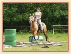 Jízdárna, klus přes kavalety, dá to práci udržet Keisy v klusu:-)