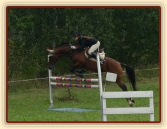 Rozeskakování parkuru Z