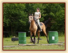 Jízdárna, zastavení před kavaletama