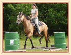 Jízdárna, klus přes kavalety