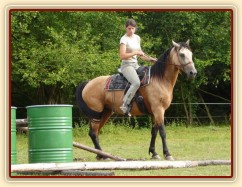 Jízdárna, Keisy nechce přes kavalety a bočí