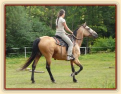 Jízdárna, tam je určitě bubák:-)