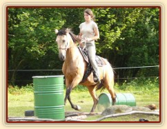 Jízdárna, neplánovaný cval přes kavalety:-)