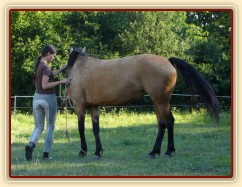 Práce ze země, obrat kolem zadku