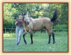 Práce ze země, obrat kolem zadku