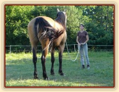 Práce ze země, klidné stání dál ode mne