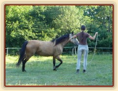 Práce ze země, kruhová hra