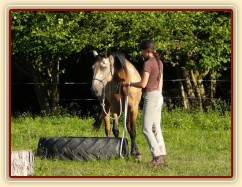 Práce ze země, stoupnutí do pneumatiky