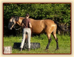 Práce ze země, stoupnutí do pneumatiky