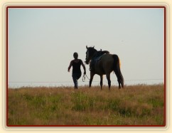 Keisy na vyjížďce se svou majitelkou, pěšky domů