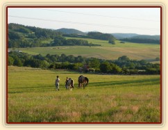 Keisy na vyjížďce se svou majitelkou, okolí Vysokého Újezda