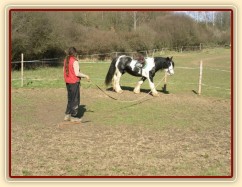 První lonžování - krok