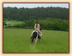 Vyjížďka - krok směrem od koní