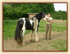 7 her podle Pata Parelli - přivolání a pochvala