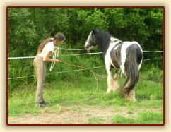 7 her podle Pata Parelli - ustupování podél ohrady, zastavení a otočení koně zpět k člověku
