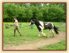 7 her podle Pata Parelli - Bas dobrovolně následuje člověka na prověšeném laně