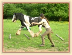 7 her podle Pata Parelli - překlusání kavalet (7.hra - stlačovací neboli prostorová)