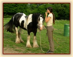 7 her podle Pata Parelli - co budeme dělat dál? :-)