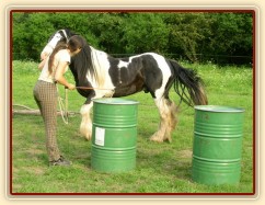 7 her podle Pata Parelli - otočení a pozvání koně zpět po průchodu mezi sudy