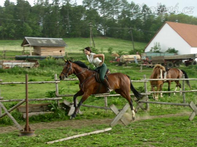 Trénink skokové řady