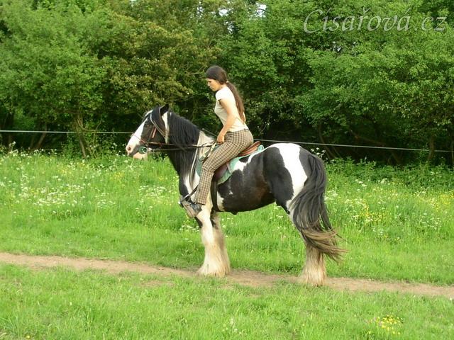 Jízdárna - začátek couvání