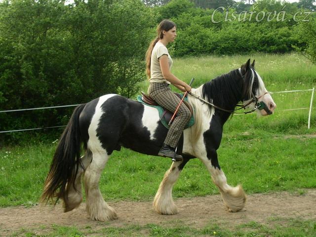 Jízdárna - krokem po obvodu