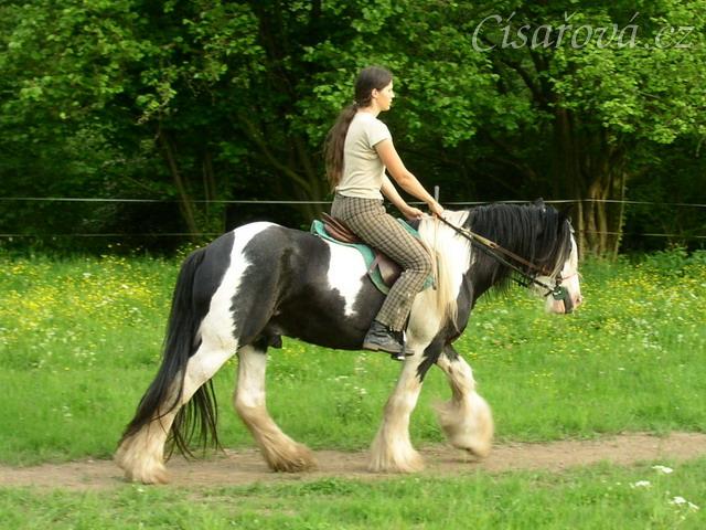 Jízdárna - krokem po obvodu