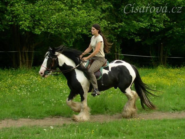 Jízdárna - klus po obvodu
