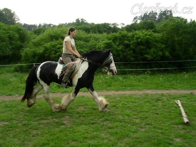 Jízdárna - nájezd na kavalety v klusu