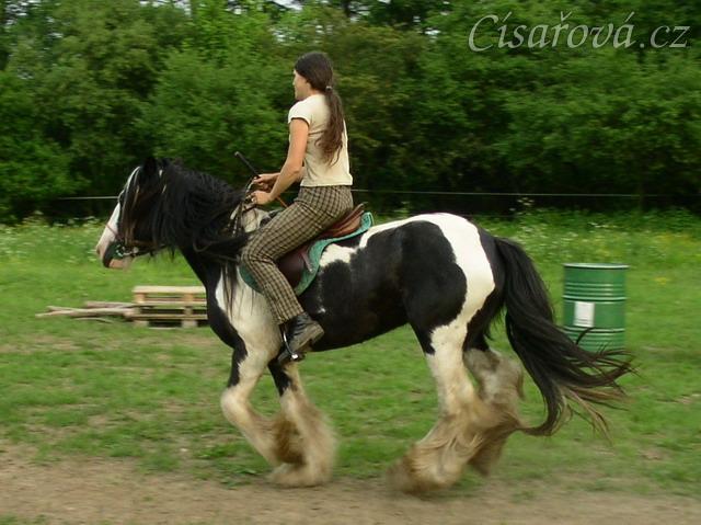 Jízdárna - cval po obvodu