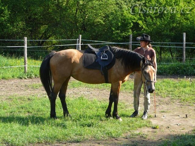 Práce ve volnosti v kruhovce - pochvala po přivolání 