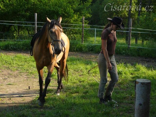 Práce ve volnosti v kruhovce - napojení, zatáčení za člověkem