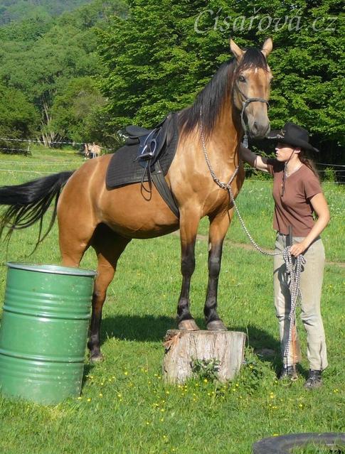 Práce na nákrčáku - stání na špalku