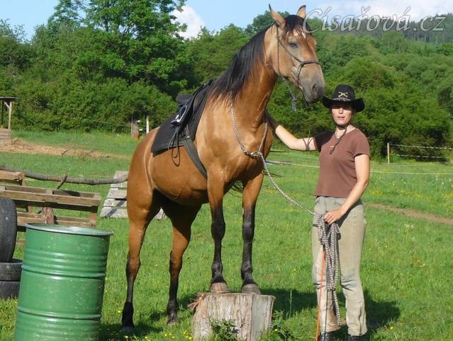 Práce na nákrčáku - stát na špalku Keisy baví:-)