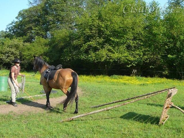 Práce na laně - zacouvání mezi klády do omezeného prostoru
