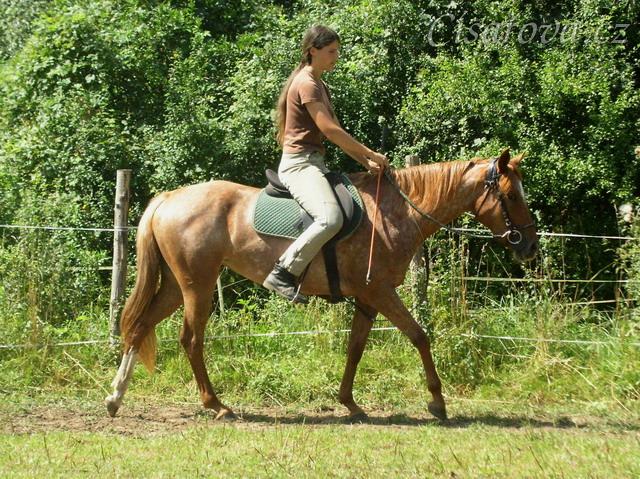 Im Docs Snow Queen, čtyřletá klisna Appaloosa, první kroky pod jezdcem