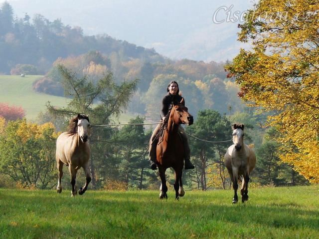 Galen, Agáta a Greisy na vyjížďce