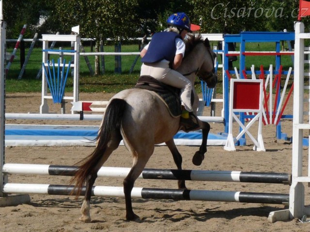 Greisy na parkurových závodech se svou šestiletou jezdkyní