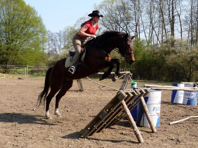 Agáta při jednom s prvních jarních tréninků na jízdárně