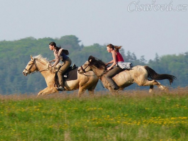 Galen a Tobiáš na vyjížďce - není nad to se pořádně proběhnout:-)