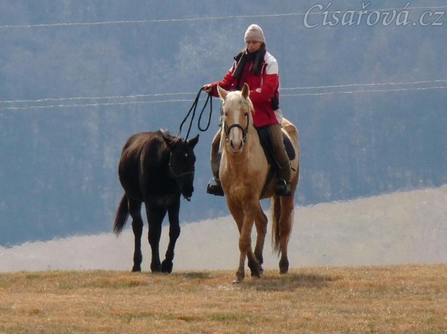 Carthago na vycházce s Tobiášem